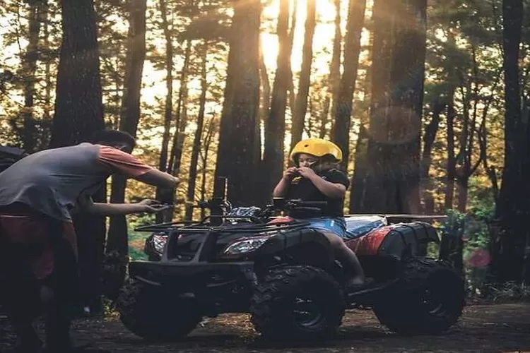 Ilustrasi wisata Hutan Pinus Nongko Ijo Madiun (Foto/Instagram/@nongkoijo.official)