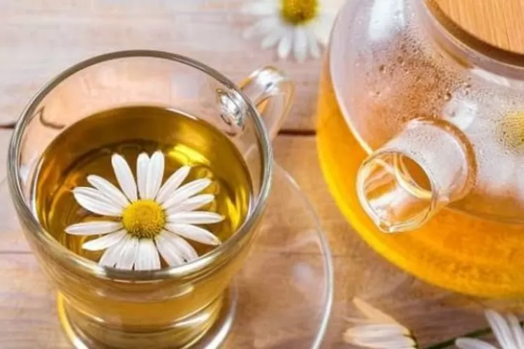 Resep Teh Bunga Krisan, Sulap Tanaman Hias Jadi Obat Herbal: Menurunkan Darah Tinggi dan Mengurangi Gejala Flu