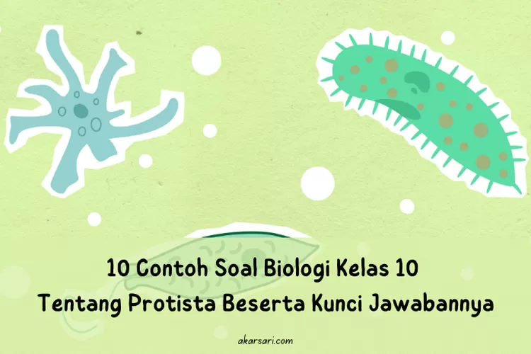 10 Contoh Soal Biologi Kelas 10 Tentang Protista Beserta Kunci ...