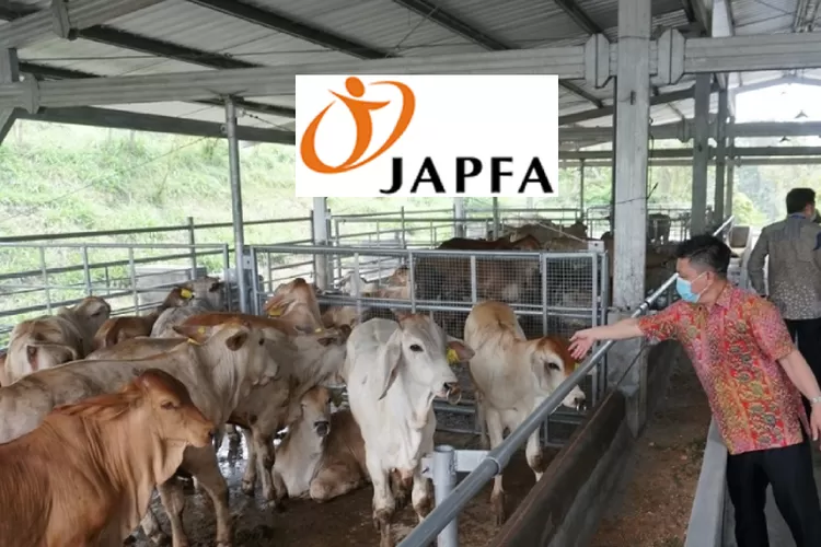 Japfa Comfeed, Perusahaan Ternak Terbesar Di Indonesia Yang Tumbuh ...