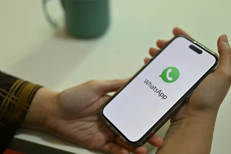 Cara Mengaktifkan dan Gunakan 4 Nomor WhatsApp Sekaligus dalam Satu HP (CANVA)