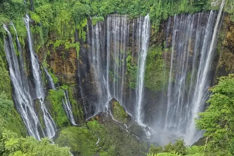 Liburan Idul Fitri Mau Kemana Wajib Kunjungi Destinasi Wisata Alam Di Lumajang Indah Banget