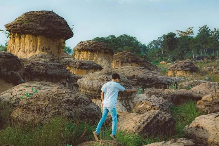 Bukit Jamur, salah satu wisata populer di Gresik dengan pemandangan khas yang estetik. (Instagram/@backpackerjakarta)
