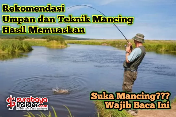 Tips Memancing Ikan Air Tawar: Rekomendasi Umpan Dan Teknik Yang Tepat ...