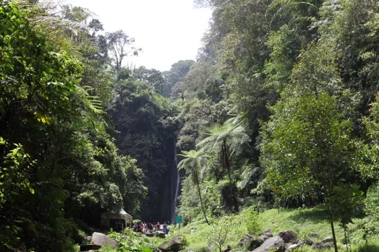 Air Terjun Ciismun di Kebun Raya Cibodas (Sumber: Web Resmi kebunraya.id/cibodas)