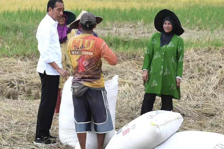 Presiden Jokowi dialog dengan Petani 