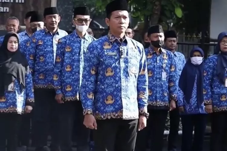 Selamat Golongan Honorer Ini Tidak Dihapus Malah Jadi Prioritas