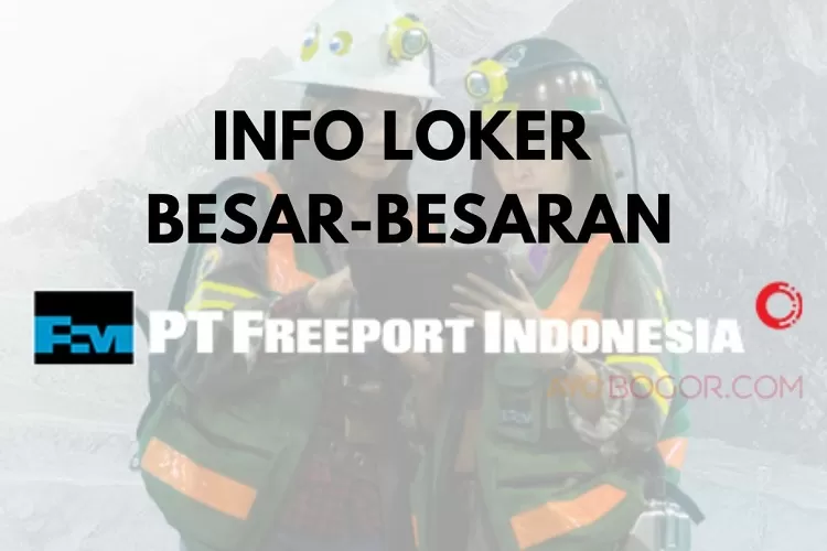 3 Formasi Loker PT Freeport Indonesia Penempatan Smelter Gresik, Cek Gajinya Bikin Ngiler  