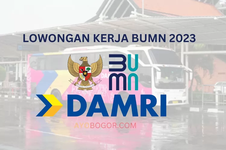 Lowongan Kerja BUMN 2023: Perum DAMRI Cari Staf Audit Teknologi Informasi, Simak Kualifikasi dan Cara Daftarnya (AYOBOGOR.COM)