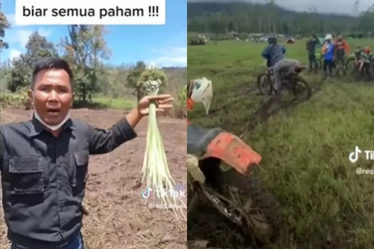 Polisi usut kasus perusakan bunga edelweis rawa di Rancaupas. (TikTok @ress.devils)