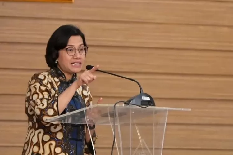 ASN Pajak Ketar-Ketir! Ini Alasan Sri Mulyani Minta PPATK Bongkar Data ...