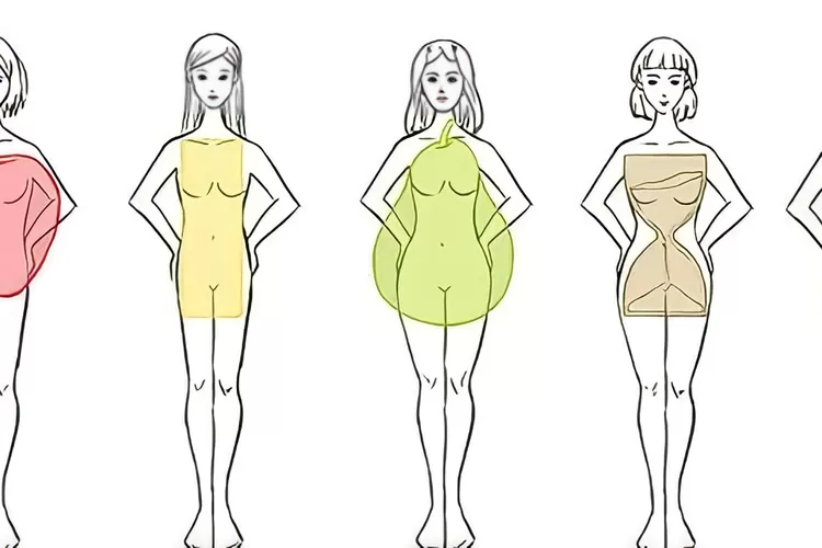 Rekomendasi Fashion Berdasarkan Jenis Body Shape, Sudah Tahu Body Shape ...