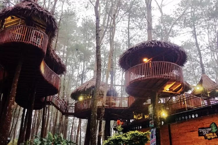 Kopeng Treetop Adventure Park Salatiga