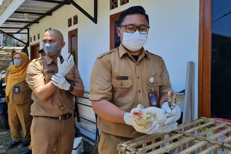 Dalam rangka mencegah Flu Burung, DKPP Kota Bandung telah melaksanakan vaksinasi unggas/hewan ternak di 60 titik di Kota Bandung. (dok. bandung.co.id)