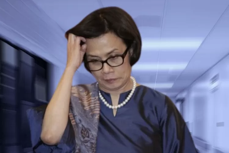 Sri Mulyani geregetan saat mengetahui hak bayi Indonesia tidak tepat sasaran. (tangkap layar Instagram @pandemictalks)