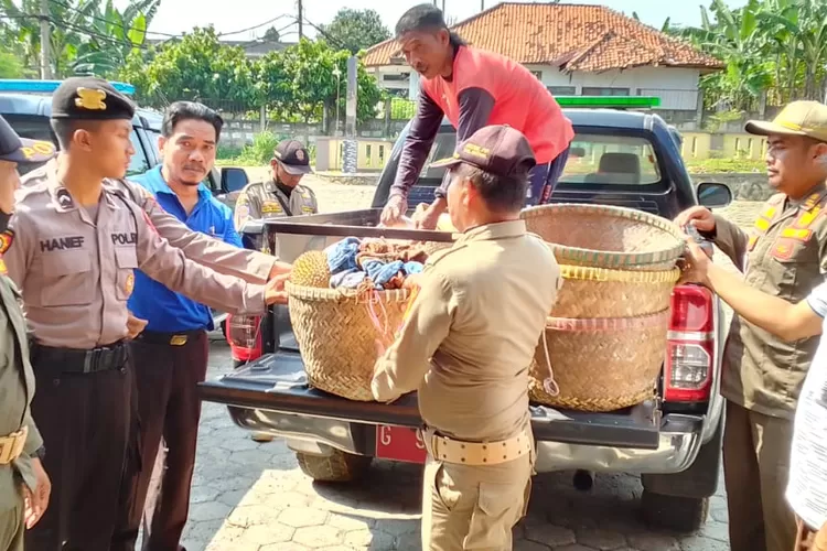 Hasil razia durian celeng Satpol PP dan Polres Batang. (Foto: dok)