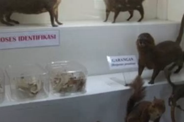 Destinasi Wisata Edukasi Terbaik di Bogor, Bisa Menjadi Pilihan Keluarga (Foto/Kelumajang/malangkab.go.id)