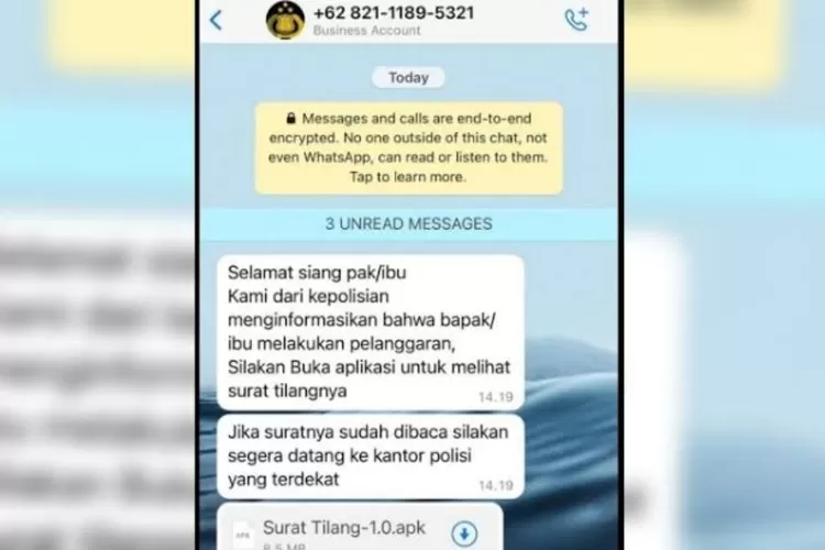 Modus penipuan surat tilang melalui pesan WhatsApp (Ist)