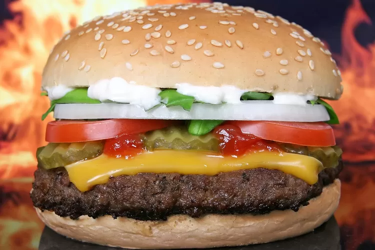 Resep Membuat Burger Super Lezat, Begini Cara Bikinnya: (Hallo Bogor/Pixabay@Shuterbug75)
