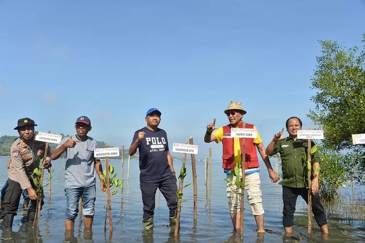 Gubernur NTB diwakili Kadis Kelautan Perikanan Muslim, ST, M.Si tanam mangrove di kawasan konservasi Teluk Bima. (Suara Karya/Istimewa)