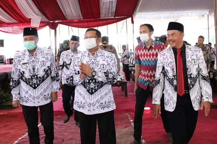 Honorer Terima Hadiah Bila Gagal PPPK 2022, Pemerintah Wajib Berikan ...