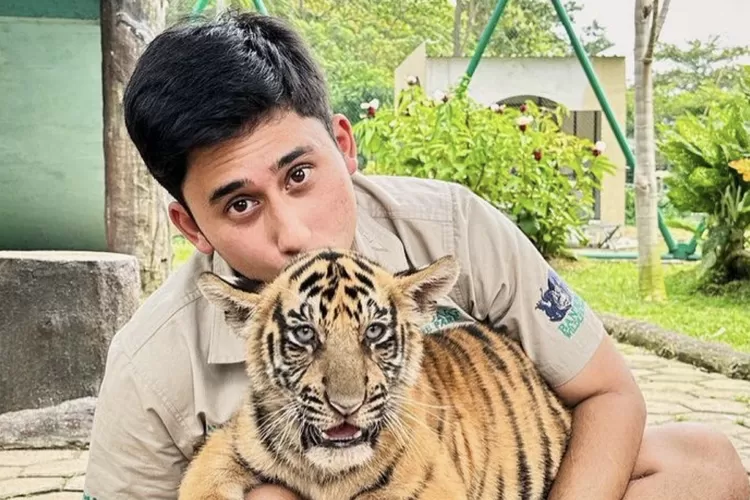  Alshad Ahmad Dikabarkan Terpaksa Menikahi Nissa Asyifa karena Sudah Hamil 8 Bulan, Alasan Bercerai Karena&hellip; (Gorajuara.com/dok: Instagram @alshadahmad)