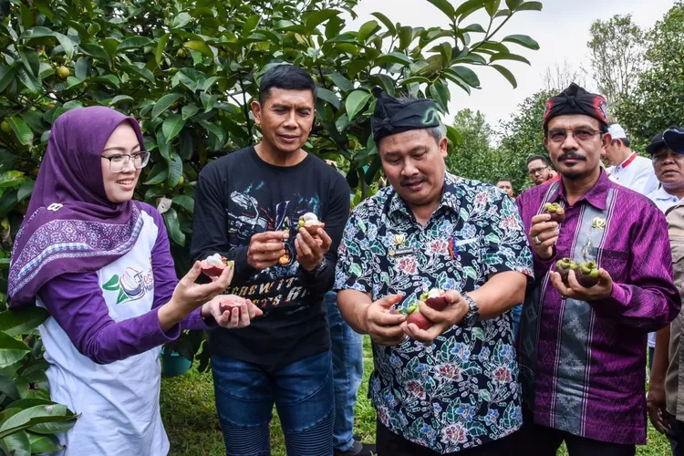 Bupati Purwakarta Anne Ratna Mustika bangga manggis Wanayasa bisa kuasai pasar internasional. (Diskominfo Purwakarta)