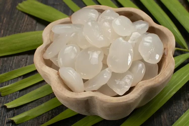 Kolang-kaling atau Arenga pinnata adalah buah yang memiliki rasa segar dan enak dan memiliki manafaat untuk kesehatan. (dok halodok.com)