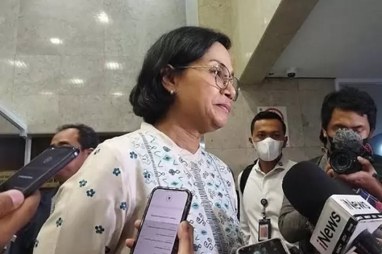 Menkeu Sri Mulyani minta petugas Bea Cukai tidak sembarangan acak-acak koper orang (Ist)