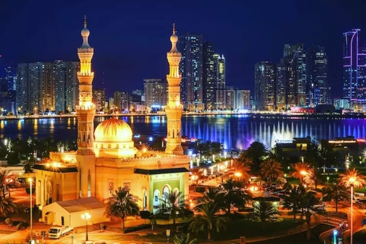 Ilustrasi  (Pexels/Rhyan Stark/Alonesia.com)