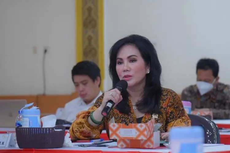 Biodata Dan Profil Ary Egahni Istri Bupati Kapuas, Anggota DPR Yang ...