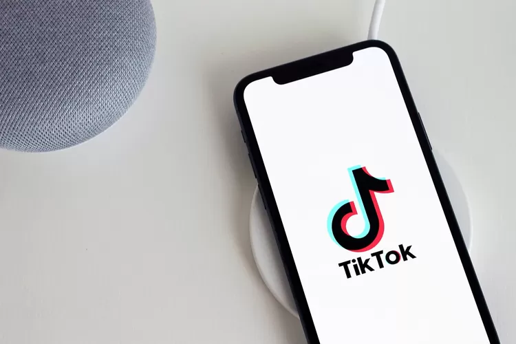 Dowload video Tiktok anti ribet dan simple tanpa download aplikasi dengan Tikmate (pixabay.com/Antonbe)