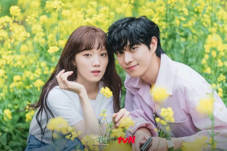 Cocok Banget! Rekomendasi 5 Drama Korea untuk Mahasiswa Jurusan Ilmu Komunikasi (twitter.com/tvN_Asia)