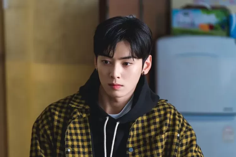 Cha Eun Woo Deretan Drama Dan Film Yang Pernah Dibintangi Aktor