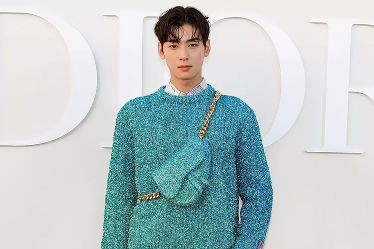 Cha Eun Woo ASTRO Resmi Tolak Main Di Drama Korea BULK Ini Kata Agensi Kilat