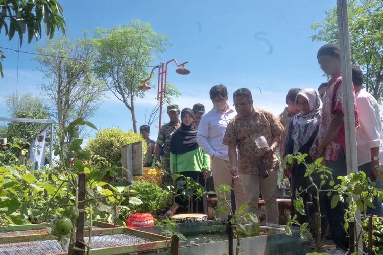 Program urban farming hasil kolaborasi PGN SAKA dan UNNES Semarang. (Foto: dokumentasi PGN SAKA)