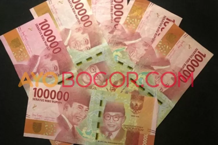 Menkeu Sri Mulyani ungkap anggaran Perlinsos capai Rp476 trilun guna lindungi 10 juta KPM. (Demi Maula Caessara/Ayobogor.com)