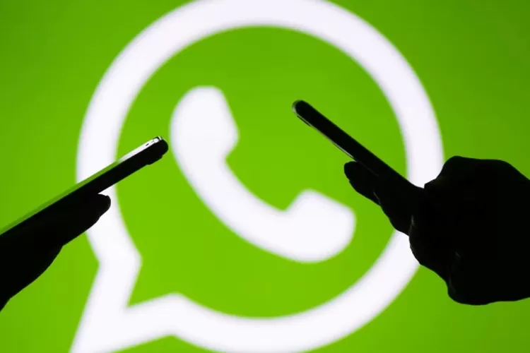 Ilustrasi penggunaan WhatsApp tanpa terlihat online