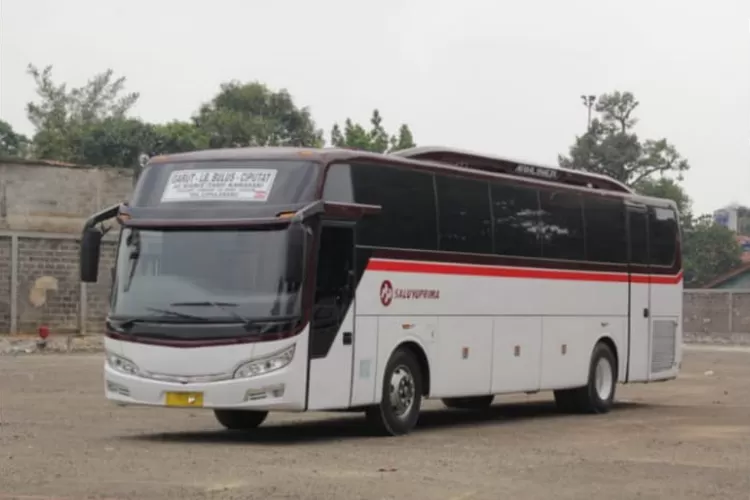 Harga Tiket Bus Primajasa Bekasi Bandung Mudik Lebaran 2023 Dan Jadwal ...