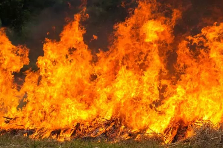 Kebakaran Restoran Ayam di Jakarta Utara, Warga Dengar Ledakan hingga Merasakan Getaran/ Pixabay