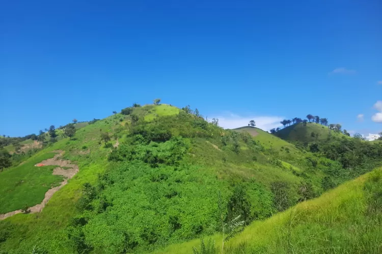 Puncak Indah Kaliandra Bolaang Mongondow Utara, Rekomendasi Tempat Foto Wisata Alam untuk Pemudik Lebaran (Foto: Manadonesia.com)