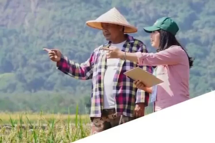 Badan Pusat Statistik (BPS) membuka lowongan kerja untuk menjadi petugas sensus pada tahun 2023  (Instagram @bps_statistics)