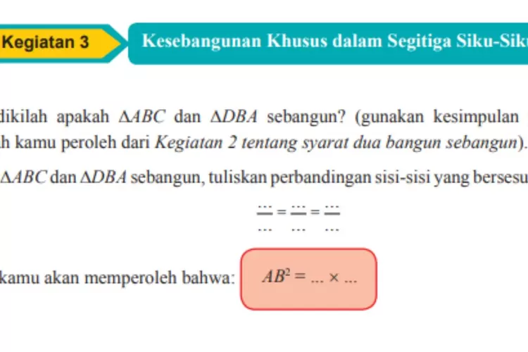 Kunci Jawaban Matematika Kelas 9 Halaman 246 Kegiatan 3 Kesebangunan ...