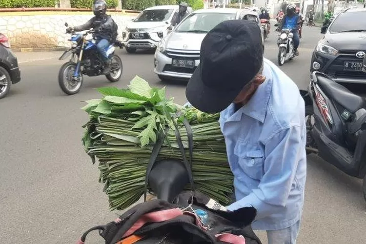 Ilustrasi penjual daun  pisang (bukan kakek Nassan) (Foto: TribunNews)