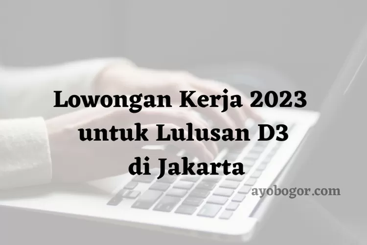 Lowongan Kerja 2023 untuk Lulusan D3 di Jakarta, Simak Persyaratannya! (AYOBOGOR.COM)