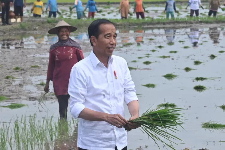 Presiden Jokowi melakukan penanaman padi di Desa Senori, Kecamatan Merakurak, Kabupaten Tuban, Jawa Timur, Kamis (6/4/2023).