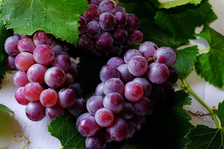 Salah satu manfaat anggur untuk kesehatan adalah dapat meningkatkan kesehatan jantung. (Pexels by Kai-Chieh)