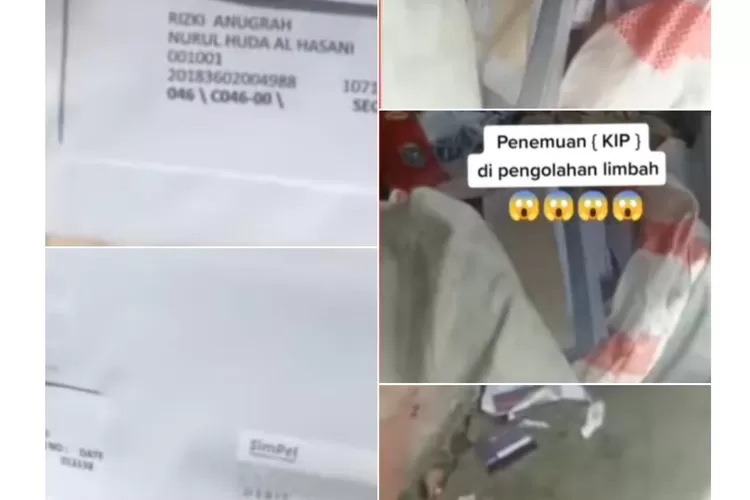 Viral kartu Indonesia Pintar ( KIP) yang Tak Sampai Pada Penerimanya Berserakan di Lapak Rongsokan (TikTok)