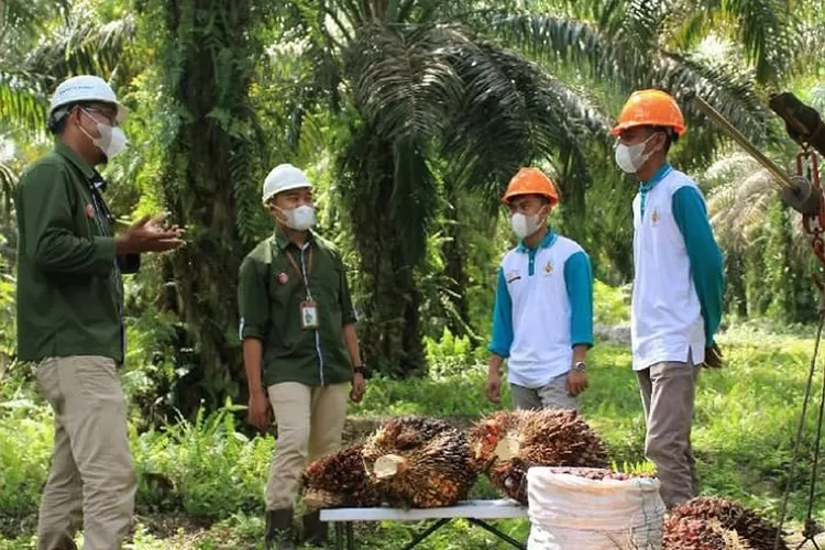 PT Astra Agro Lestari membuka lowongan kerja untuk putra dan putri Indonesia (Instagram @astraagrolestari)