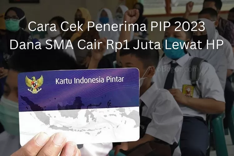 Begini Cara Cek PIP Lewat HP 2023 Secara Online, Pakai NIK Dan NISN ...